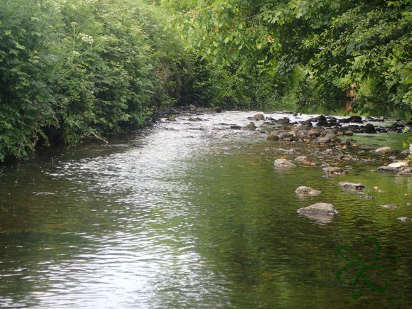 Upper Silverburn River