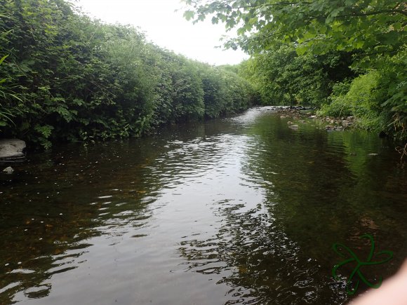 Upper Silverburn River