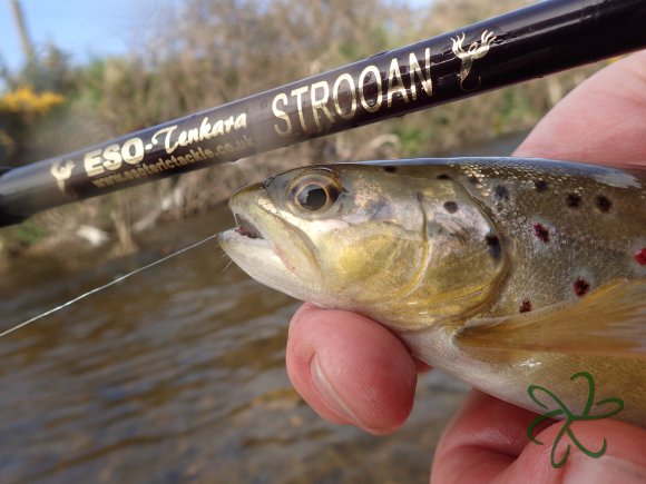 Silverburn Strooan Tenkara