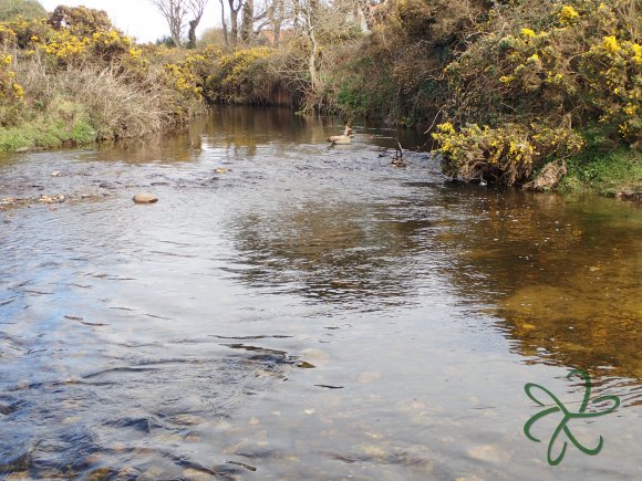 Silverburn River