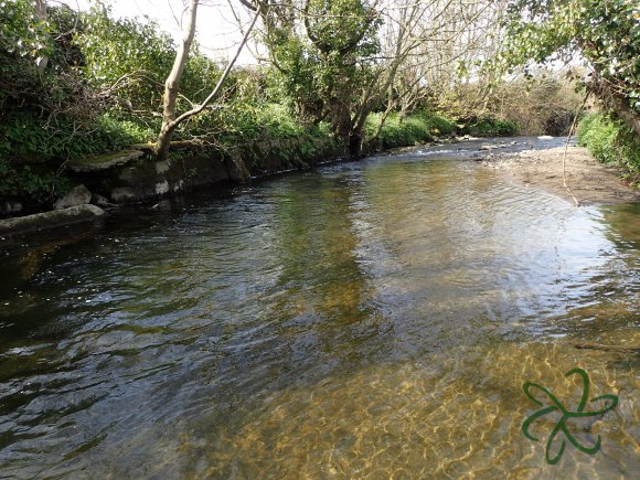 Silverburn River (lower stretch)