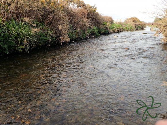 Silverburn River (lower stretch)