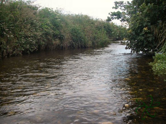 Silverburn River