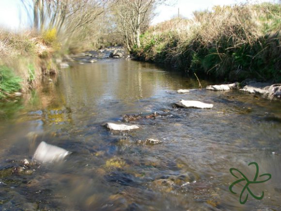 Silverburn River