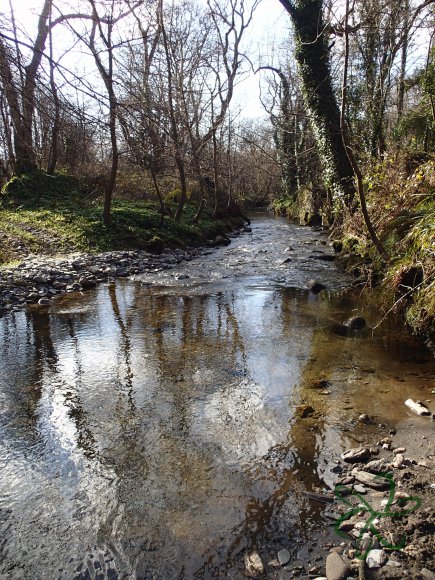 Silverburn River