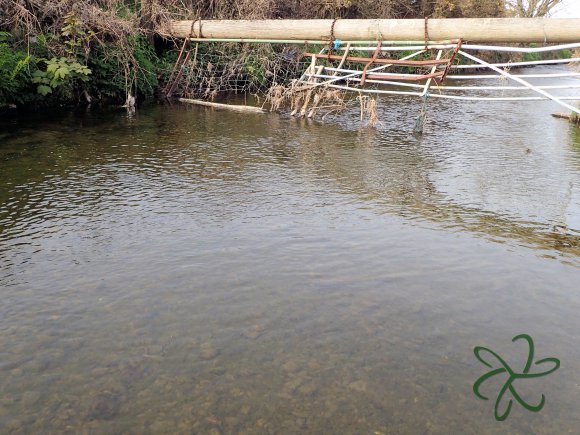 Silverburn River (lower stretch)