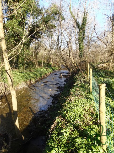 Silverburn River