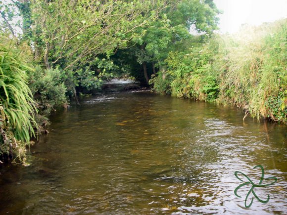 Silverburn River