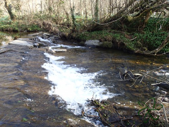 Silverburn River