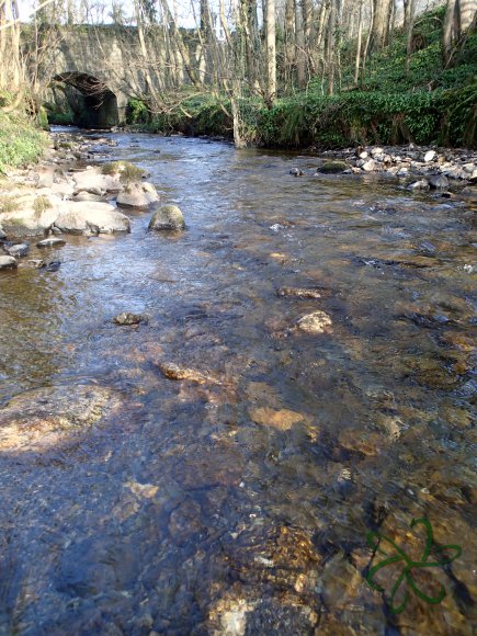Silverburn River