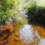 Sulby River