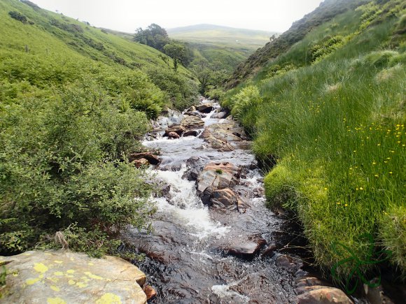 Sulby River