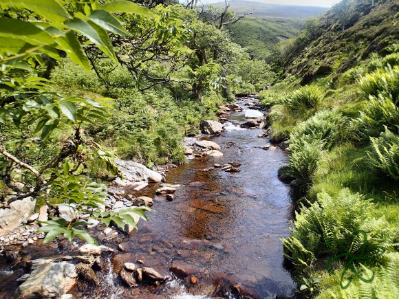 Sulby River