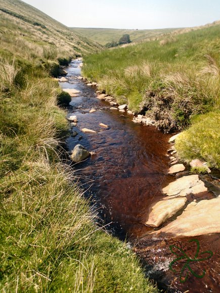 Sulby River