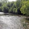 Sulby River