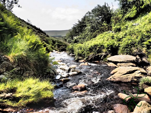 Sulby River