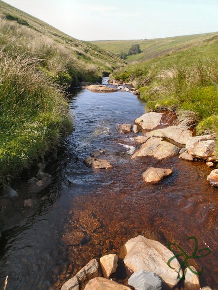 Sulby River