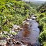 Sulby River