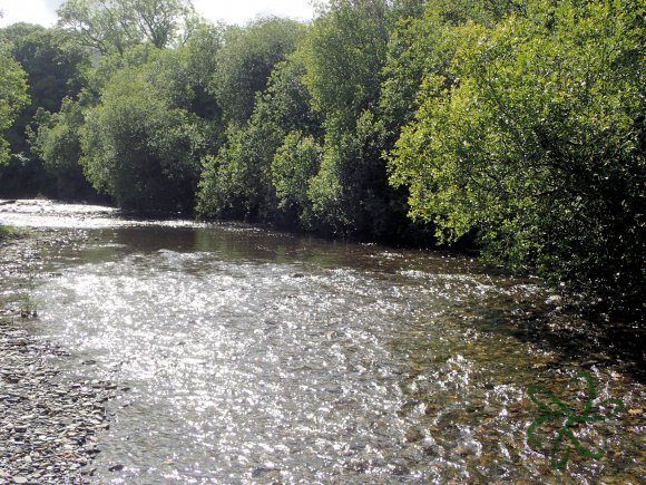 Sulby River