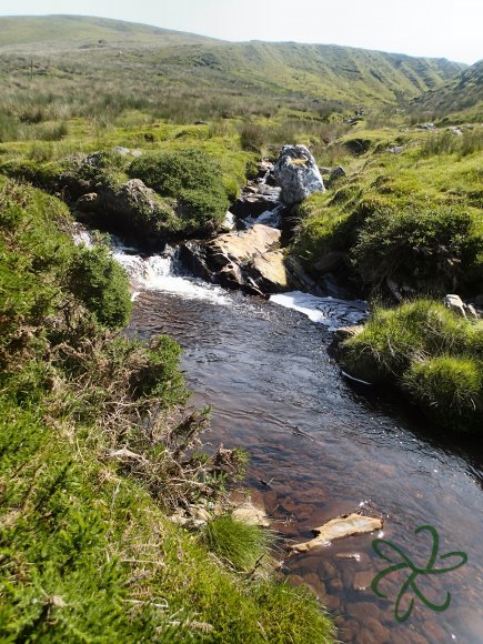 Sulby River