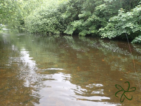 Sulby River