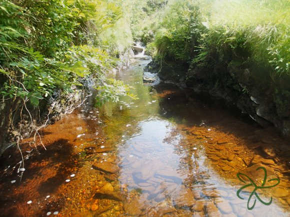 Sulby River