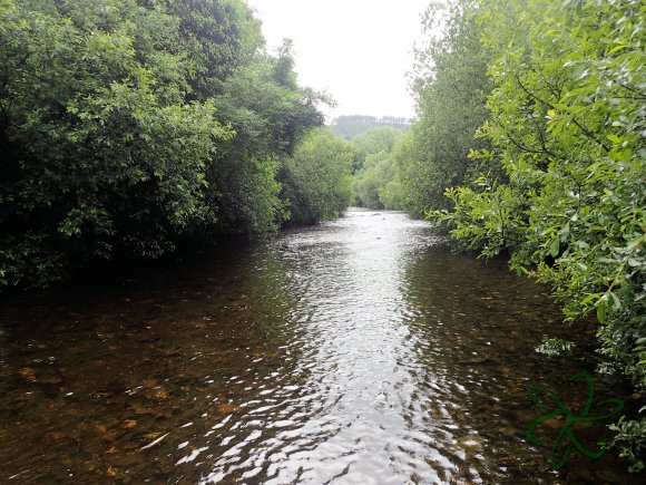 Sulby River