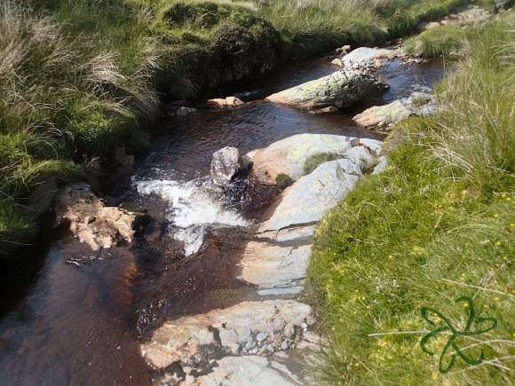 Sulby River