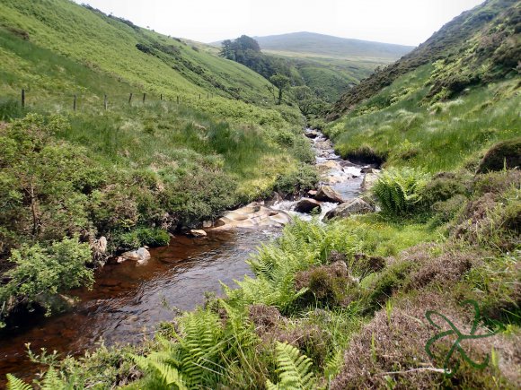 Sulby River