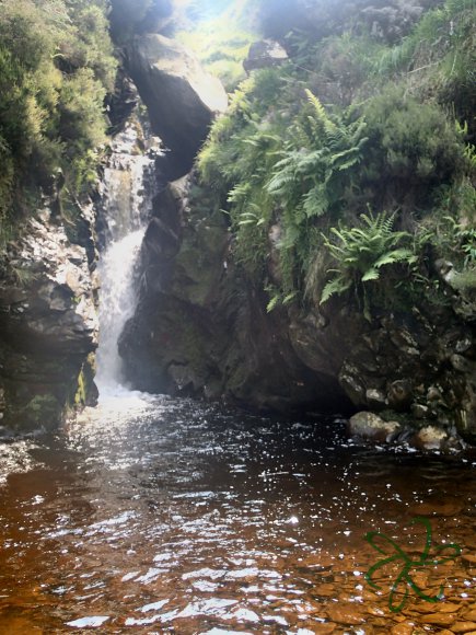 Sulby River